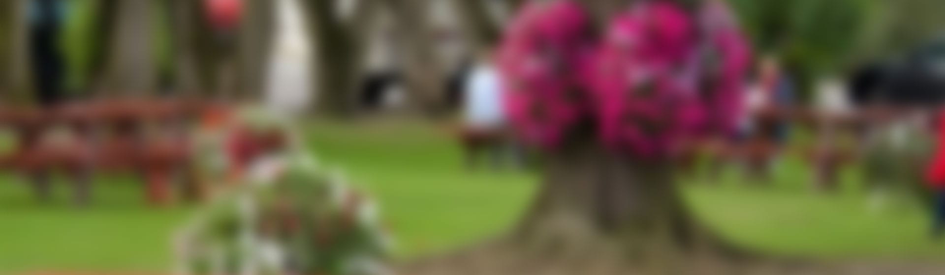 MIami Q Catering Social BBQ